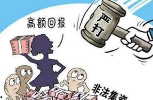 新农人非法集资爆料视频,揭秘背后惊人真相 第1张 新农人非法集资爆料视频,揭秘背后惊人真相 第1张